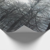 Papier Cadeau Soleil sur les arbres couverts de glace (Coin)