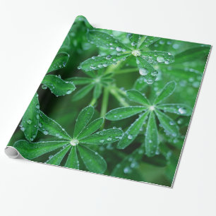 Papier Cadeau Soleils verts de feuille avec des gouttes de pluie