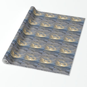 Papier Cadeau Solstice d'hiver Turnagain Arme
