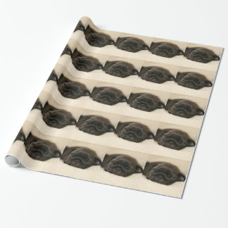 Papier Cadeau Sommeil noir de chiot de carlin