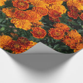 Papier Cadeau Souci (Coin)