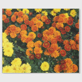 Papier Cadeau Souci (Plat)