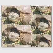 Papier Cadeau Sourire (Plat)