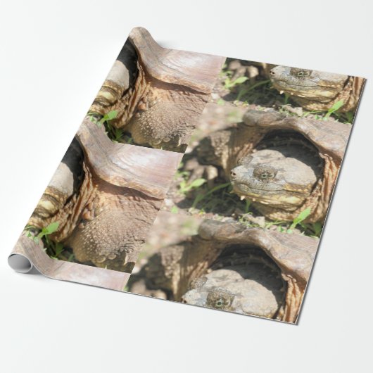 Papier Cadeau Sourire (Déroulé)