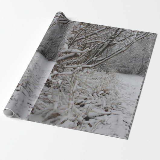 Papier Cadeau Sous une couverture de neige (Déroulé)