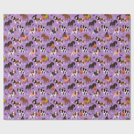 Papier Cadeau Spaniel (Plat)