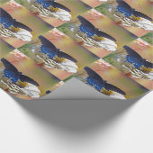 Papier Cadeau Spicebush Swallower (Coin)
