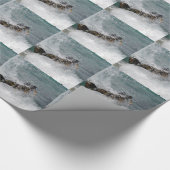 Papier Cadeau Spray (Coin)