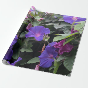 Papier Cadeau Spring Morning Glories en bleu