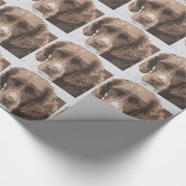 Papier Cadeau Springer anglais (Coin)