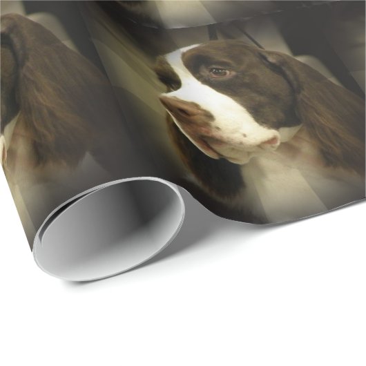 Papier Cadeau Springer spaniel (Coin rond)