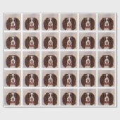 PAPIER CADEAU SPRINGER SPANIEL ANGLAIS  (Plat)