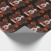 Papier Cadeau Springer Spaniel Anglais       (Coin)