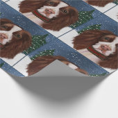 PAPIER CADEAU SPRINGER SPANIEL ANGLAIS (Coin)