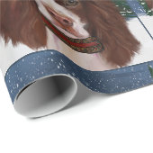 PAPIER CADEAU SPRINGER SPANIEL ANGLAIS (Coin rond)