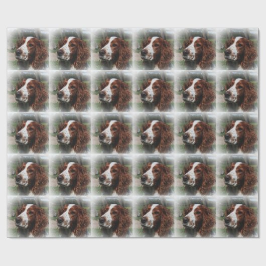 Papier Cadeau Springer Spaniel Chien Art (Plat)
