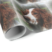 Papier Cadeau Springer Spaniel Chien Art (Coin rond)