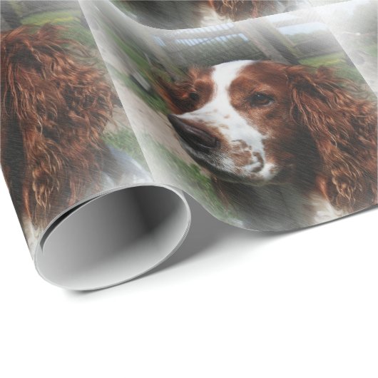 Papier Cadeau Springer Spaniel Chien Art (Coin rond)