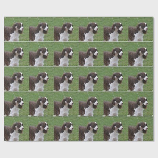 Papier Cadeau Springer spaniel doux (Plat)