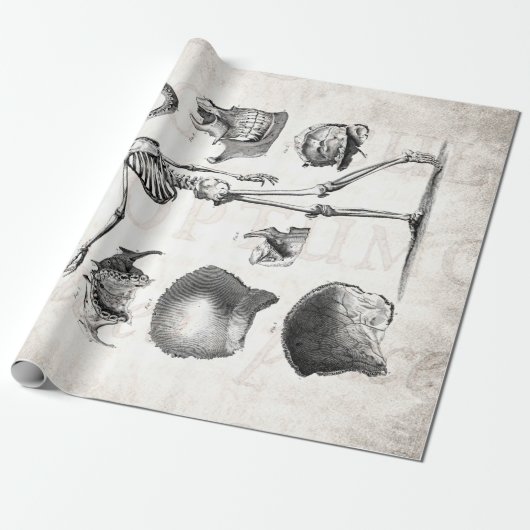 Papier Cadeau Squelettes antiques squelettiques d'anatomie de (Déroulé)