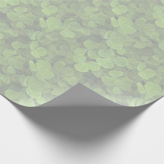 Papier Cadeau St. Patrick's Day (Coin)