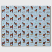 Papier Cadeau Stallion Cheval du Quartier Brown Bay (Plat)
