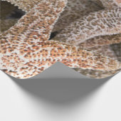 Papier Cadeau Starfish partout (Coin)