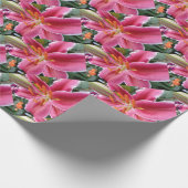 Papier Cadeau Stargazer (Coin)