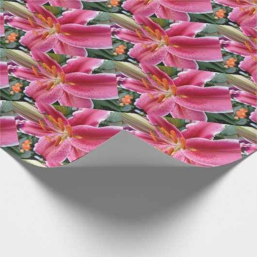 Papier Cadeau Stargazer (Coin)