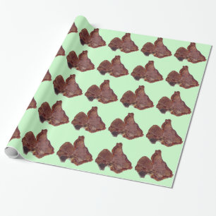 Papier Cadeau Steak à os