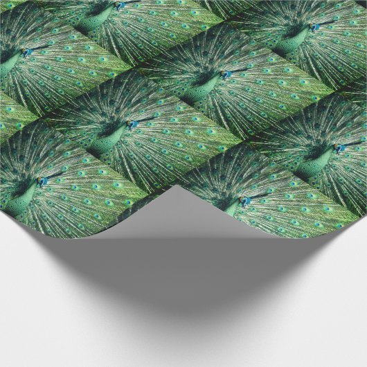 Papier Cadeau Strut Peacock (Coin)