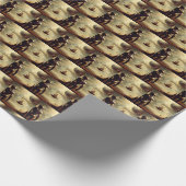 Papier Cadeau Style Masters italien SF 2 (Coin)