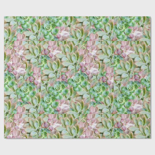 Papier Cadeau Succulent coloré (Plat)