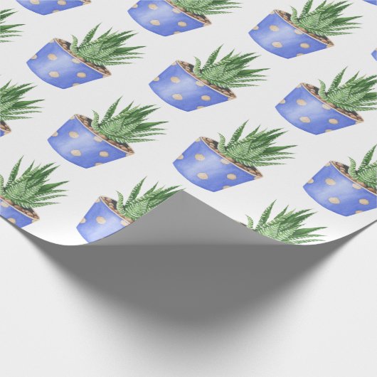 Papier Cadeau Succulent Dans Pot Pot Pot Pot Polka (Coin)