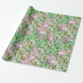Papier Cadeau Succulente Colorée (Déroulé)