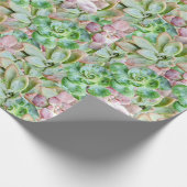 Papier Cadeau Succulente Colorée (Coin)
