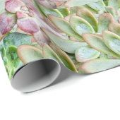 Papier Cadeau Succulente Colorée (Coin rond)