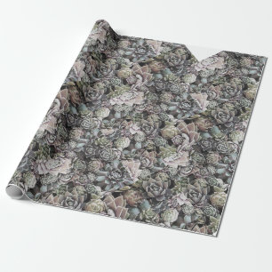 Papier Cadeau Suculent Sempervivums