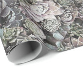 Papier Cadeau Suculent Sempervivums (Coin rond)