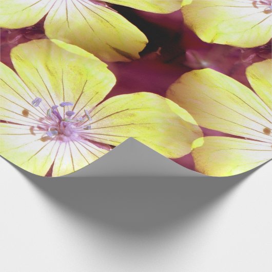Papier Cadeau Summery Yellow.... (Coin)