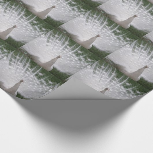 Papier Cadeau Superbe blanc Peacock ( Paon) plein plume (Coin)