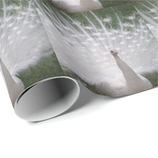 Papier Cadeau Superbe blanc Peacock ( Paon) plein plume (Coin rond)