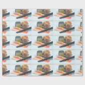 Papier Cadeau Sushi ! (Plat)