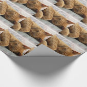 Papier Cadeau Sweet Dreams (Coin)