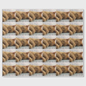 Papier Cadeau Sweet Dreams (Plat)