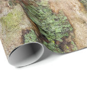 Papier Cadeau Sycamore arbre écorce mousse Lichen (Coin rond)