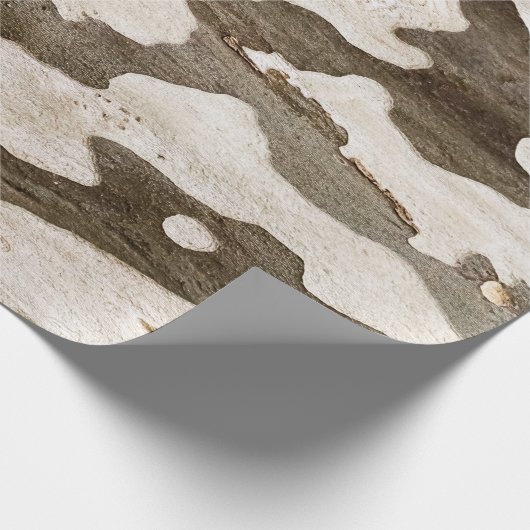 Papier Cadeau Sycamore Tree Bark (Coin)