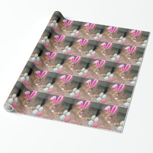 Papier Cadeau Tabby à Kitty Chat de Pâques