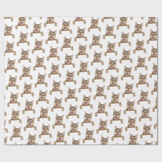 Papier Cadeau tabby cat en blanc (Plat)
