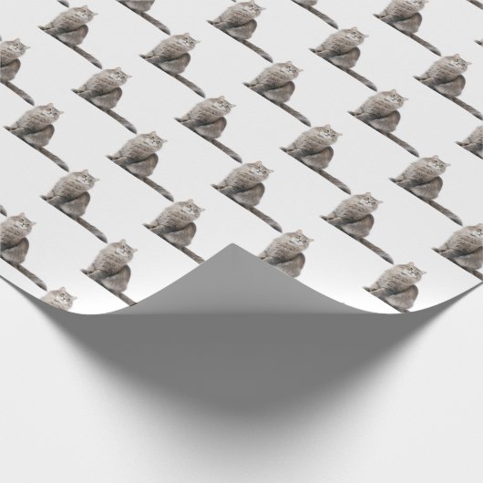 Papier Cadeau tabby, chat (Coin)